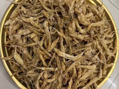 Oora Mirapakayalu