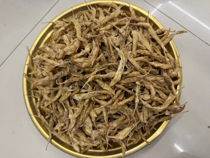 Oora Mirapakayalu